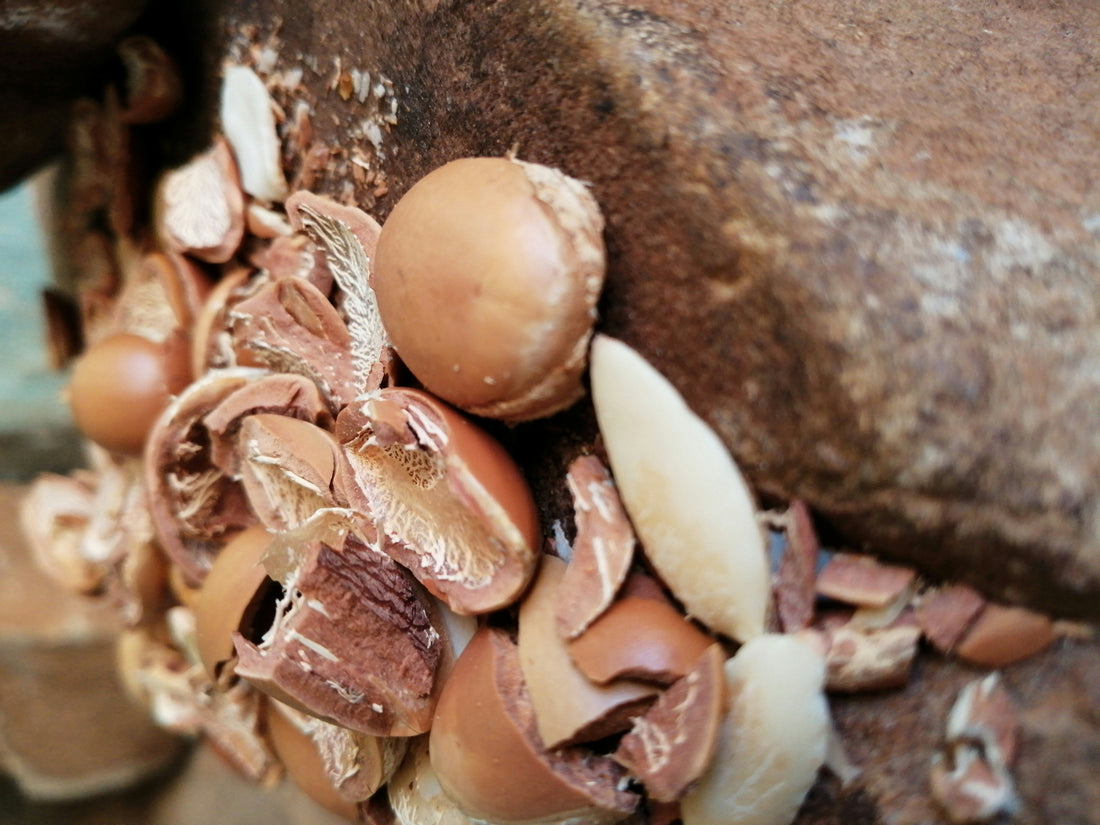Le pouvoir de l'argan