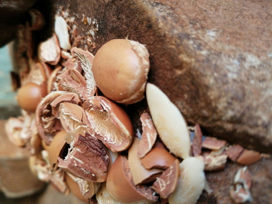 Le pouvoir de l'argan